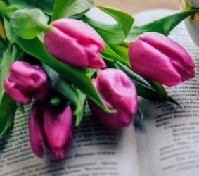 Galați - Escorta Sexy - Pt o relaxare contactează mă Galați micro 18 Galați str Brailei ofer companie domnilor manierati higienă maxima discreție și seriozitate Galați preț accesibil doar tu și eu particular 100% reală.  Galați