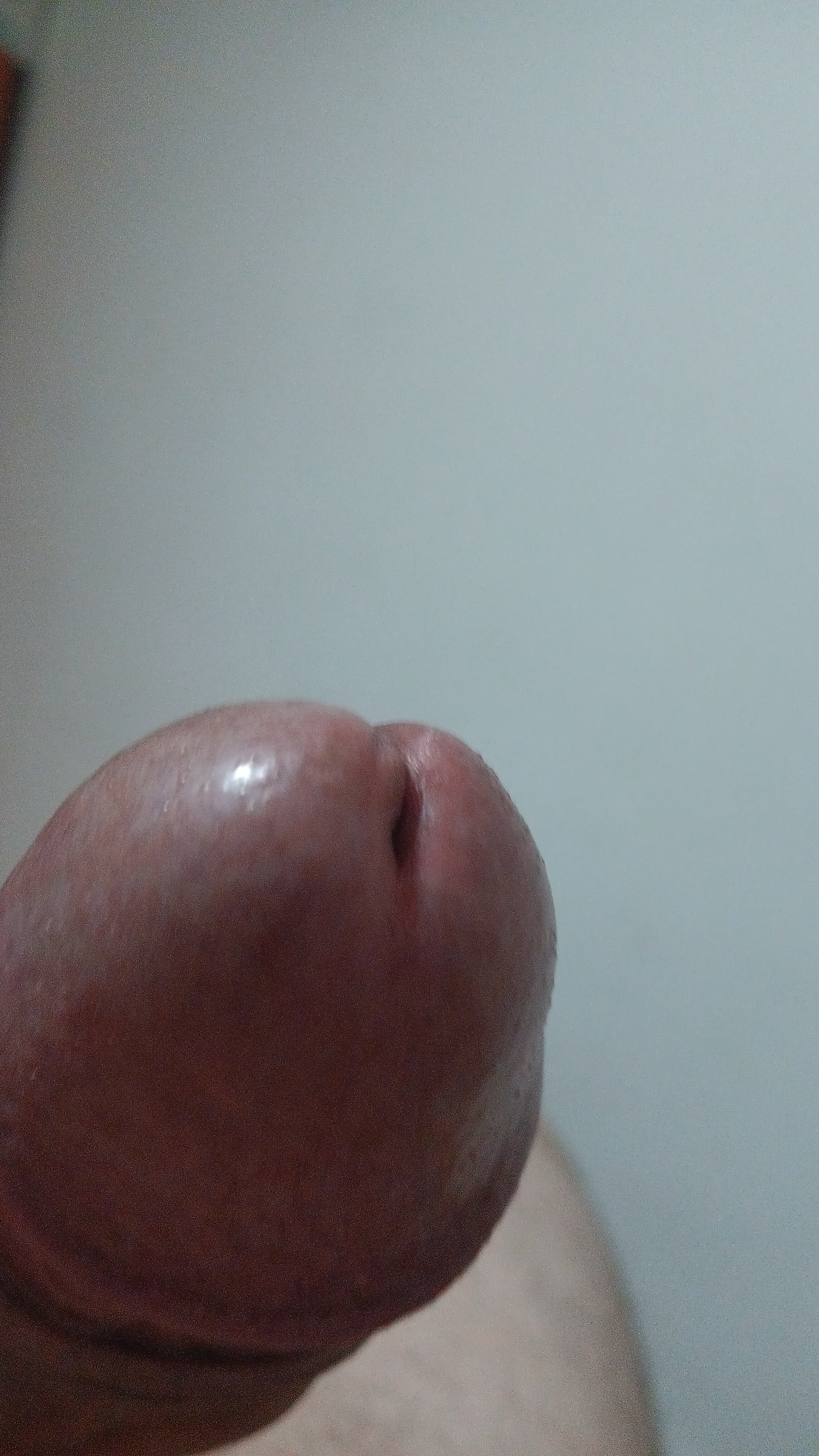 Escorta Oras: PLOIESTI - Escorta Telefon: 0732739702 - Servicii Escorta : DOTAT BI CAUT FETE SAU CUPLU PENTRU ALE INDEPLINI FANTEZILE AM LOC DA MA SI DEPLASEZ Escorta Oras: PLOIESTI - Escorta Telefon: 0732739702 - Servicii Escorta : DOTAT BI CAUT FETE SAU CUPLU PENTRU ALE INDEPLINI FANTEZILE AM LOC DA MA SI DEPLASEZ